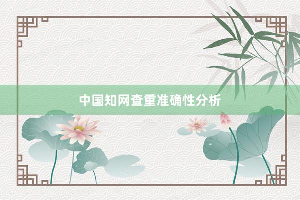 中国知网查重准确性分析
